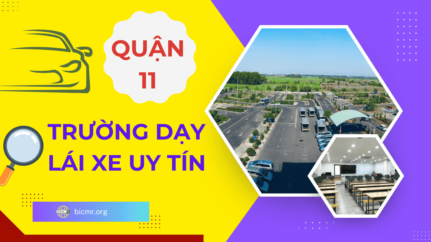 trường dạy lái xe tại quận 11 giá rẻ