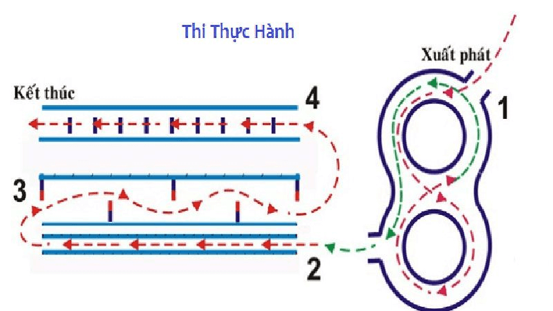 THI BẰNG XE MÁY A1 